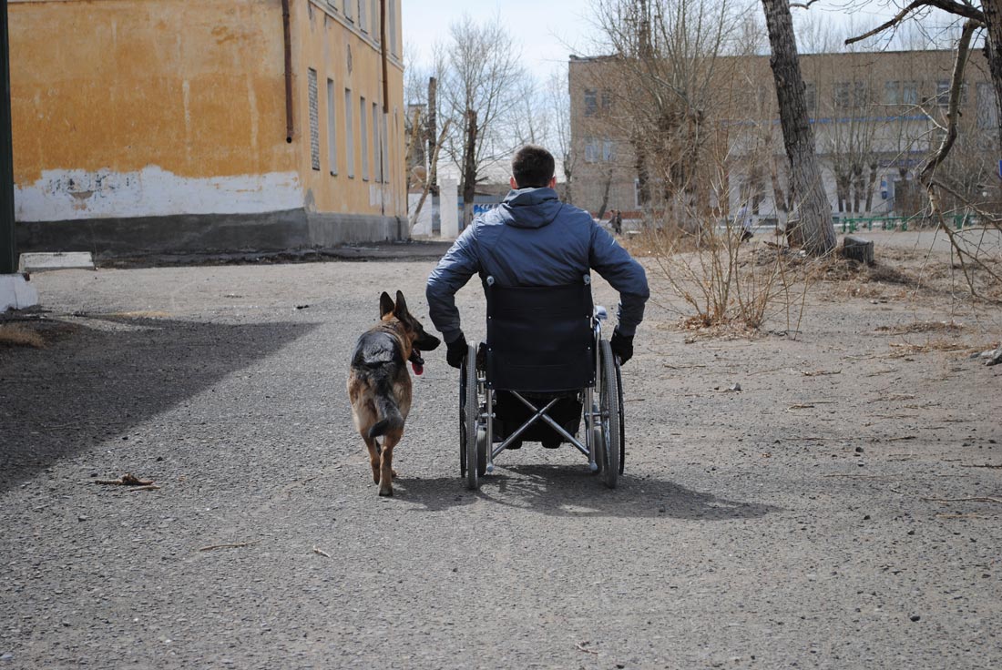 Veterans' Disability Benefits