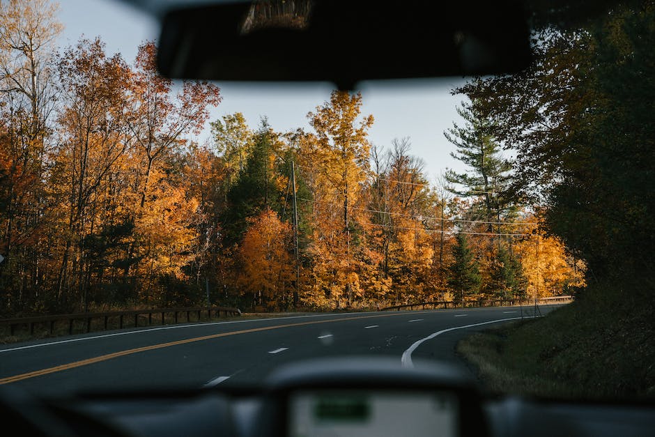 Easing Your Journey: Essential Tips for Navigating Through Vocational Rehabilitation