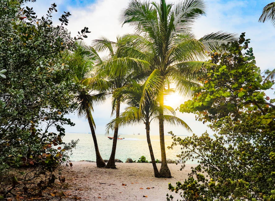 Understanding Workmen's Compensation In Florida