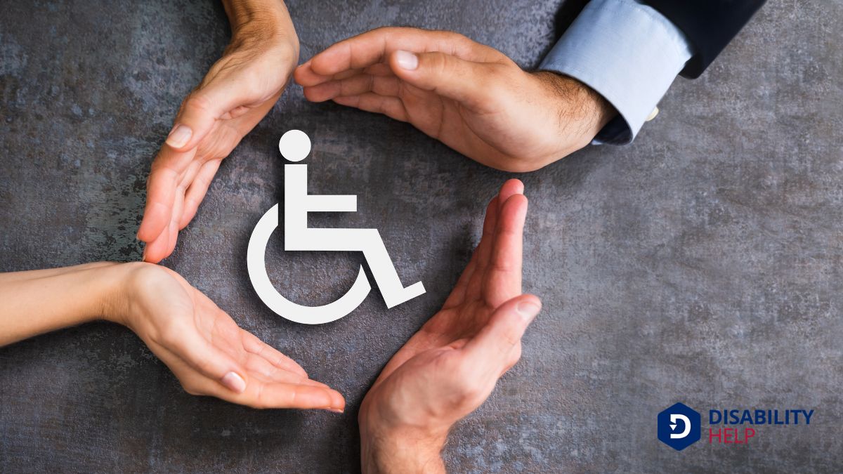 Expertise in Disability Law