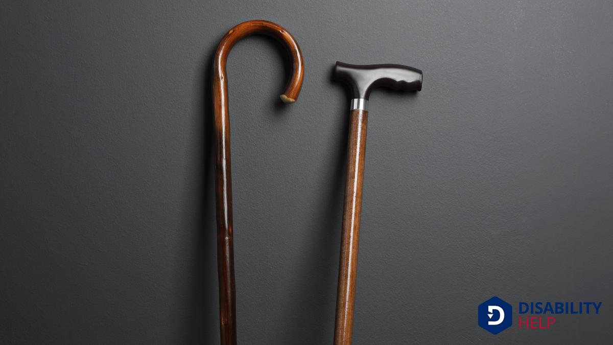 Exploring Different Types of Canes