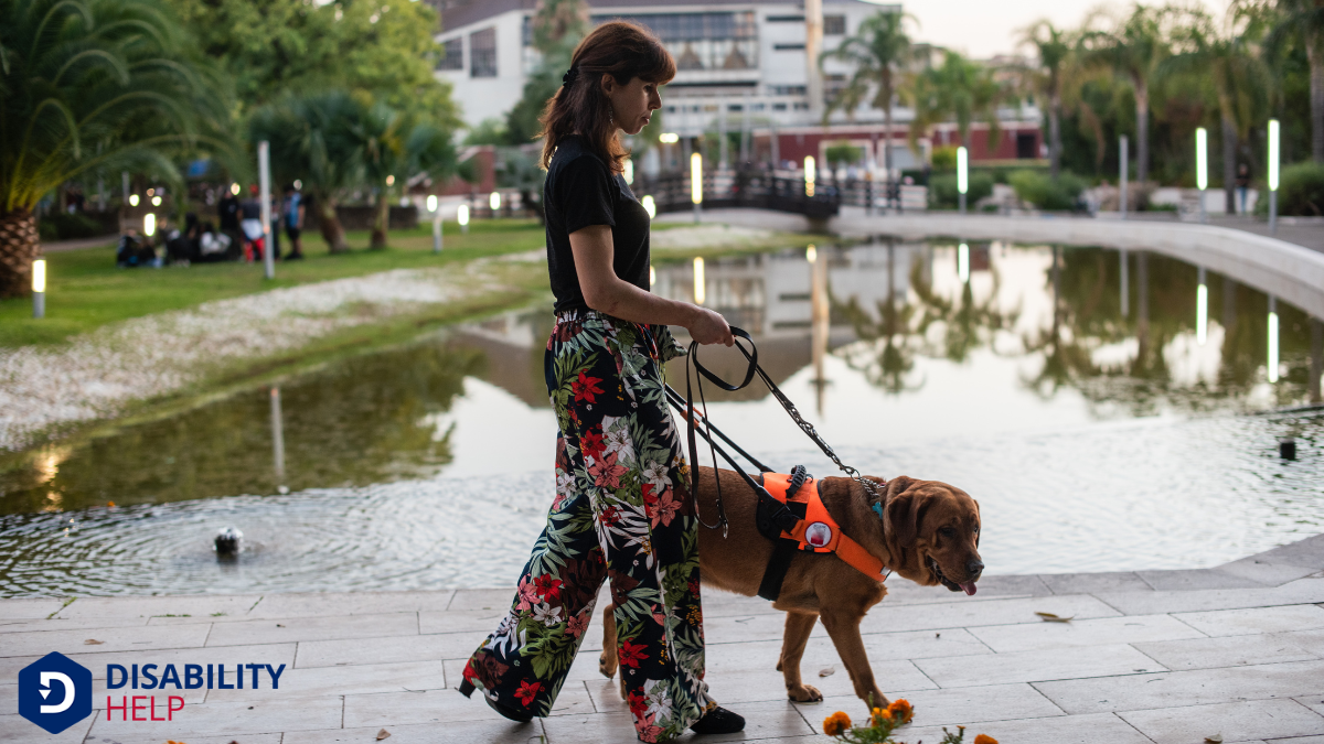 Key Disability Laws Protecting Service Animals