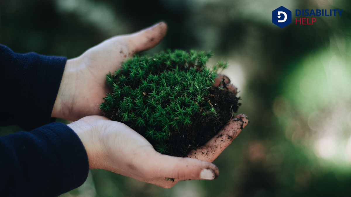 Environmental Benefits of Personal Mobility Devices