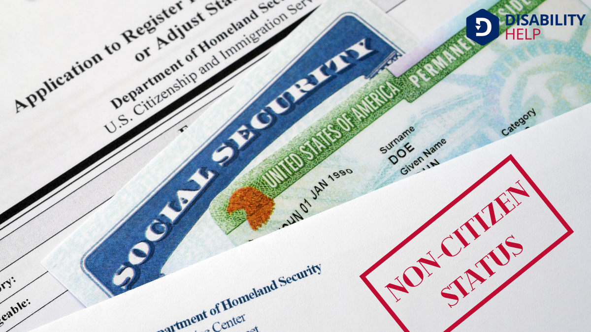 Non-Citizen Status